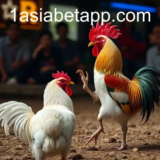 Exploring the World of Online Sabong